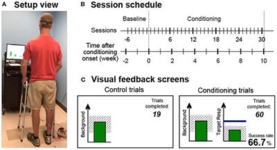 Operant down-conditioning of the soleus H-reflex in people after stroke